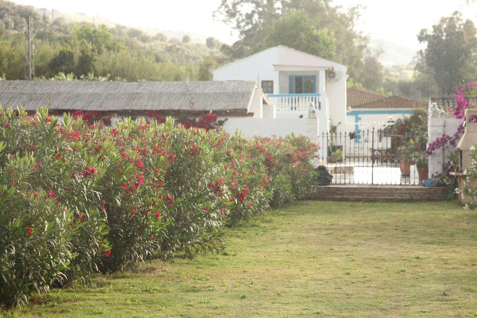 The Dragonfly Retreat Apartment Malaga Exterior photo