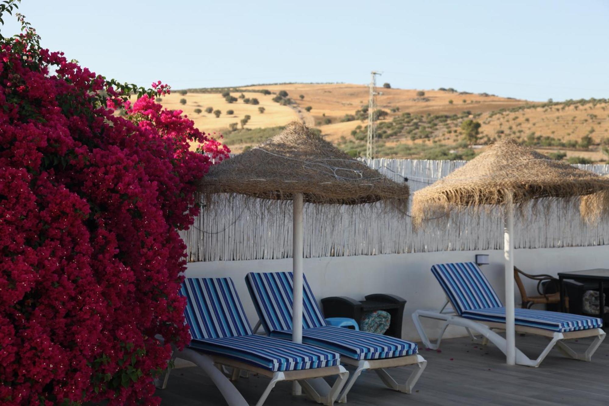 The Dragonfly Retreat Apartment Malaga Exterior photo